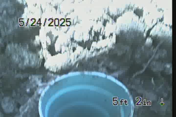 Frame